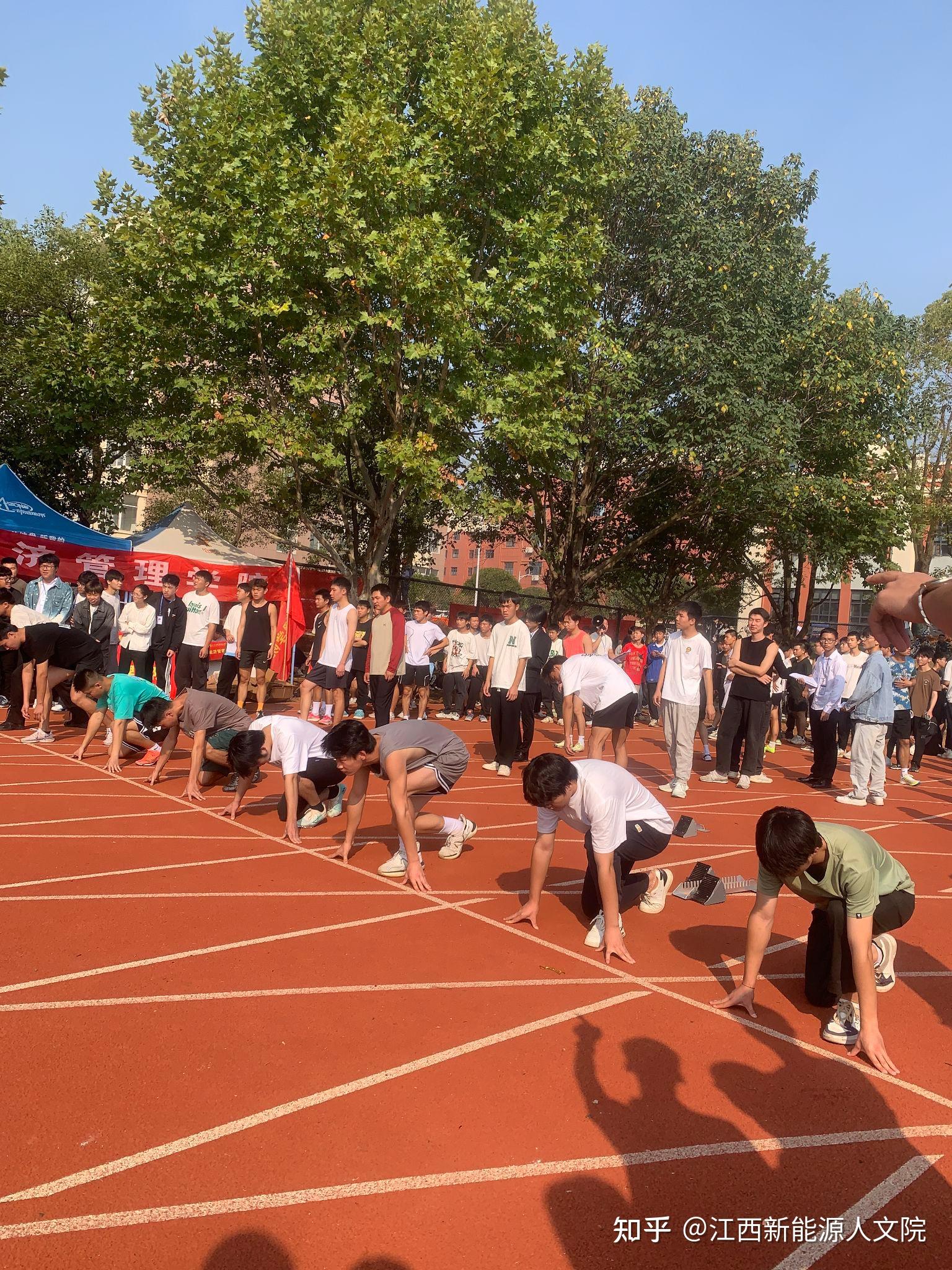 青春飞扬，田径项目中的佼佼者展现潜力的简单介绍